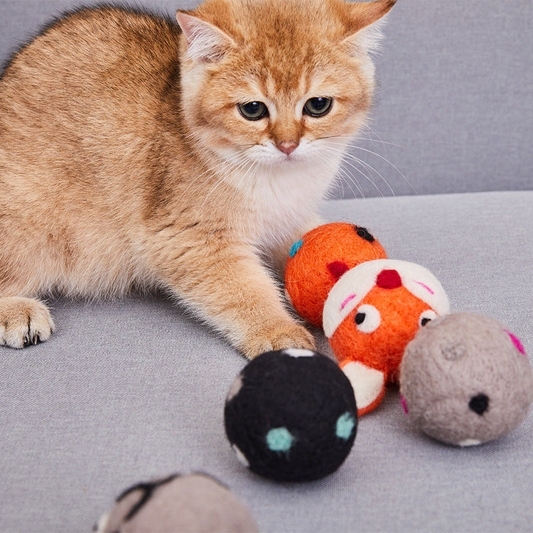 Pet Toys & Accessories