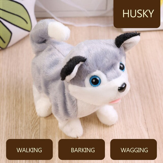 Fun & Lovely New Pet Dog Toys