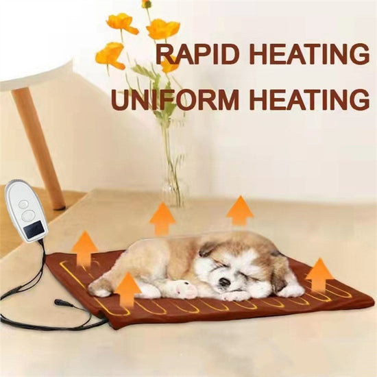 Winter Outdoor Electric Pet Blanket