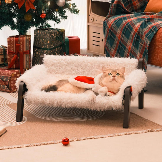 MEWOOFUN Raised Cat Bed