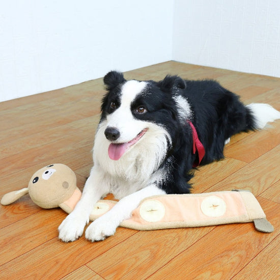 Dog Sniffing Toy