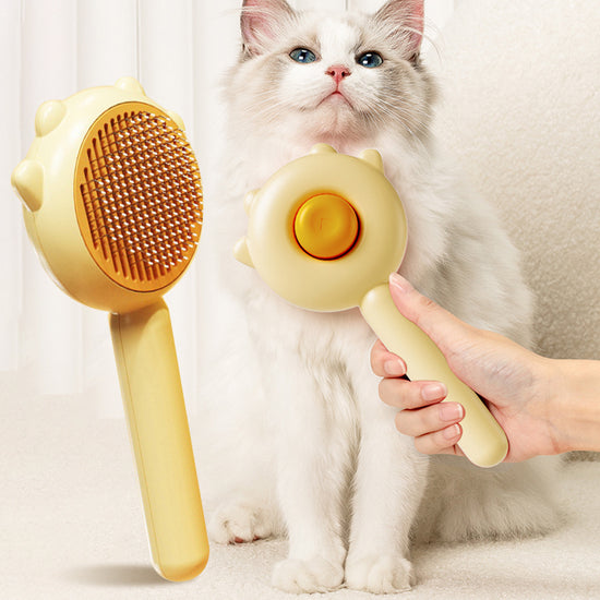 Cat & Dog Magic Comb Brush