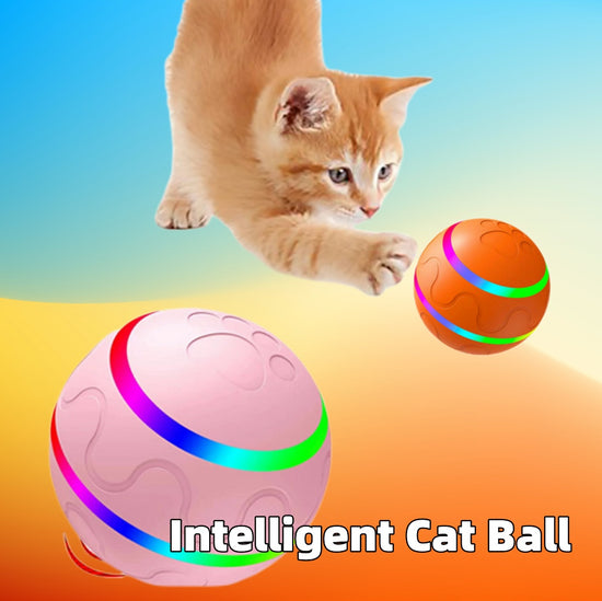 Smart USB Cat Ball Toy